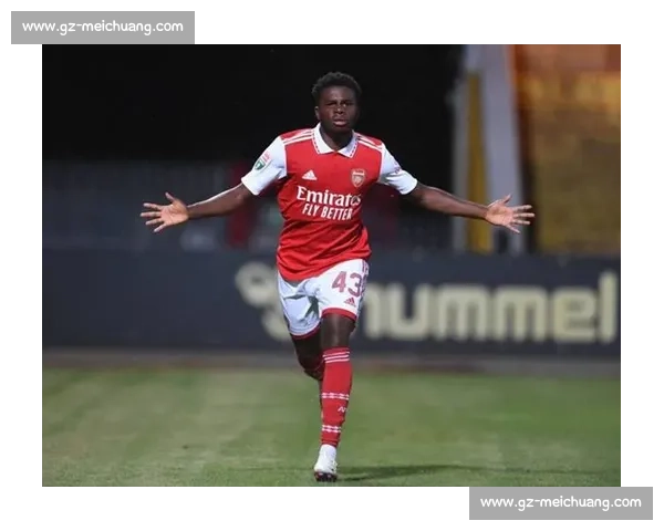 尼科尔:你无法反对阿森纳赢英超 尼科尔:你无法反对阿森纳赢英超